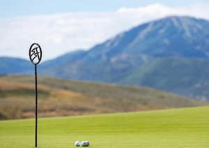 View of home's community with golf course view and a lawn