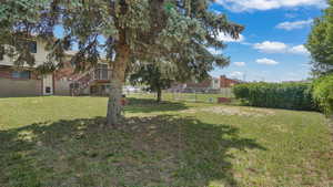 View of yard with stairs