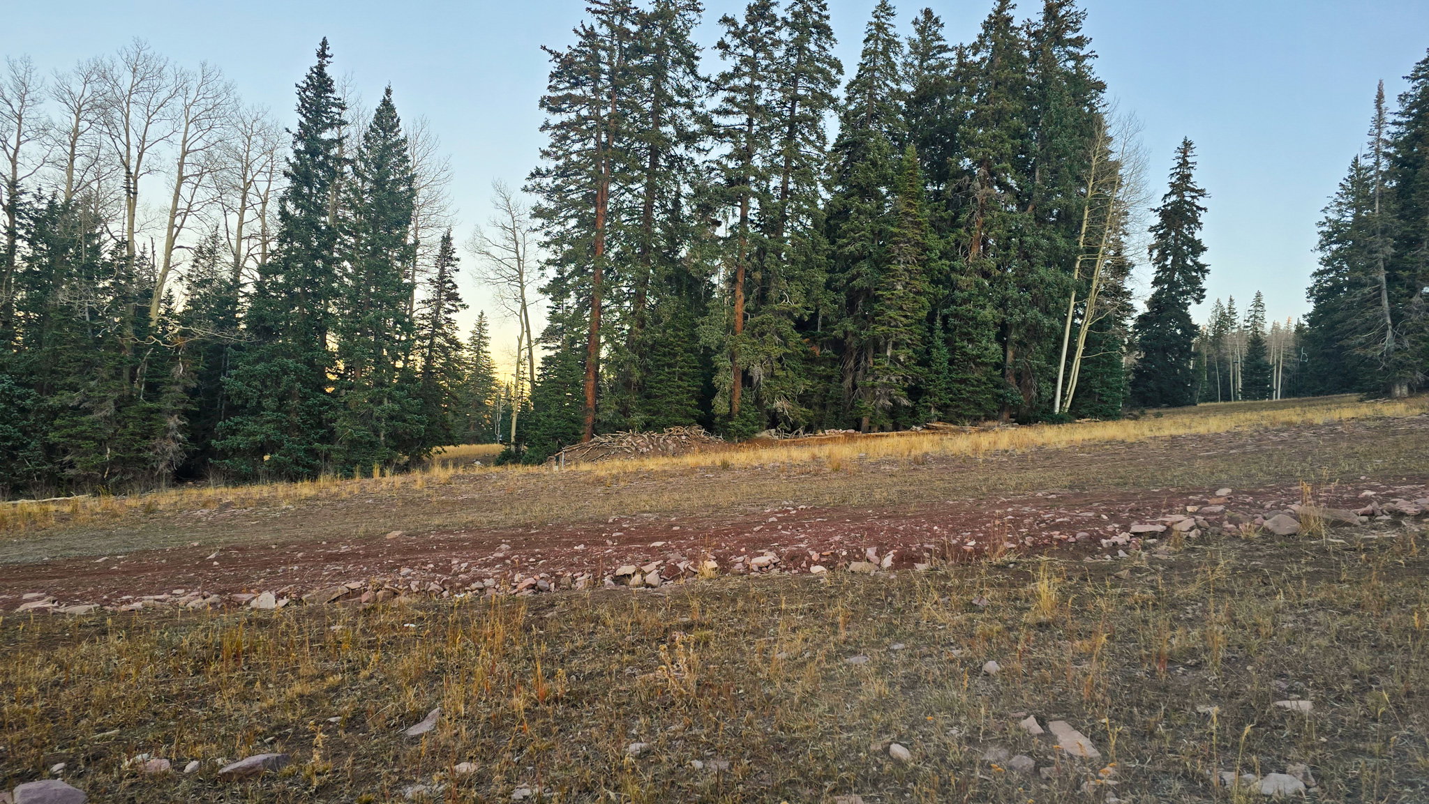 View of woods