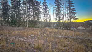 View of undeveloped land