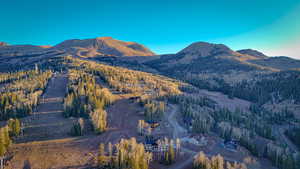 View of mountain background with a heavily wooded area