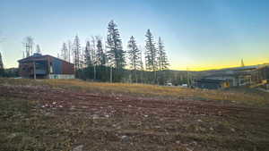 View of yard at dusk