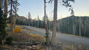 View of asphalt street with a wooded view