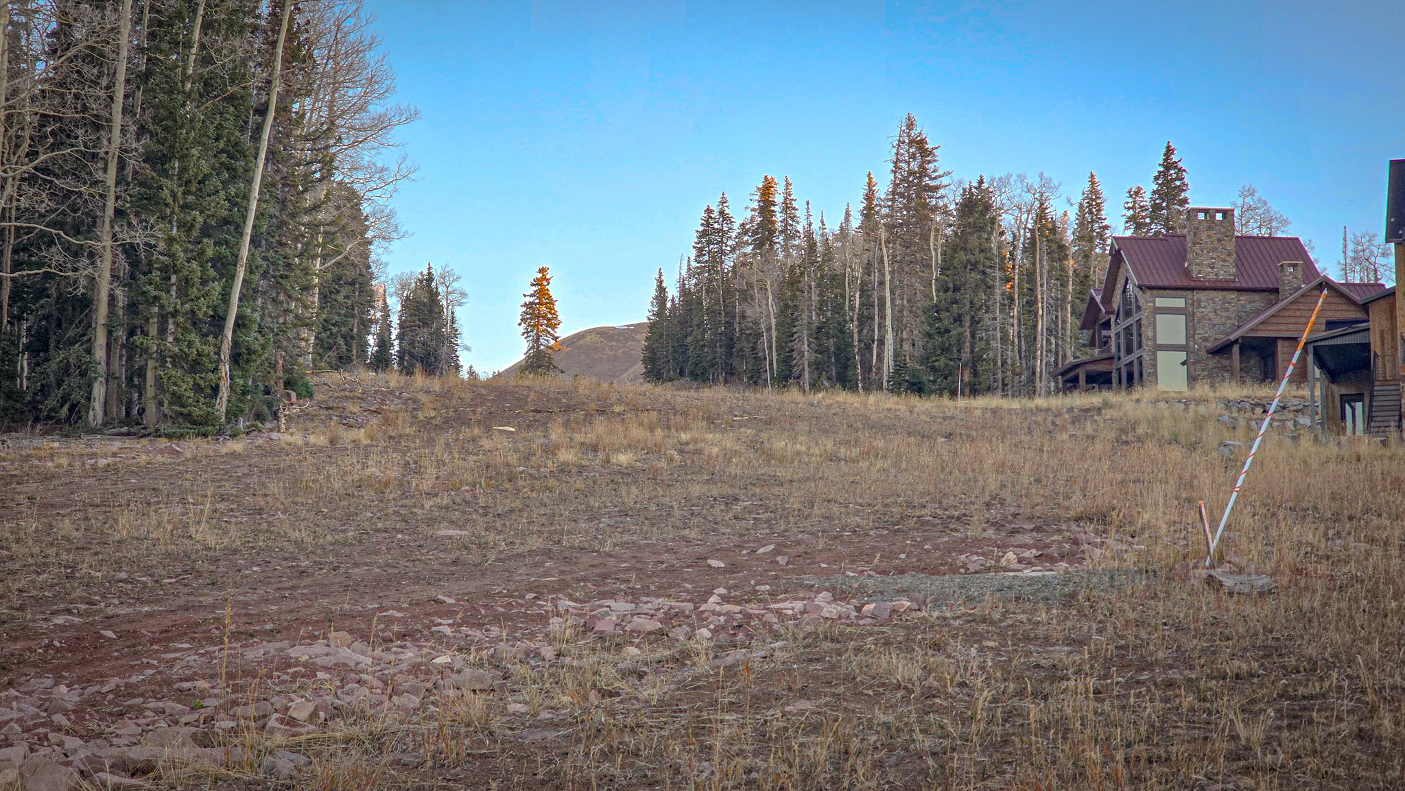 View of yard featuring a wooded view