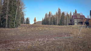 View of yard featuring a wooded view