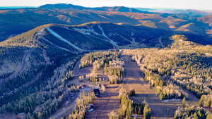 View of mountain backdrop featuring a forest