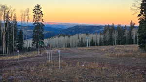 View of mountain backdrop with a forest