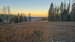 View of yard with a forest view