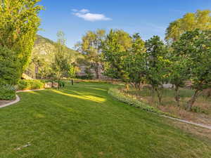 View of grassy yard & scrub oak