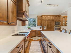 Kitchen featuring new cabinetry, quartz countertops, dark wood-type flooring, stainless steel appliances, and glass insert cabinets