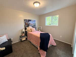 Bedroom with carpet and a textured ceiling