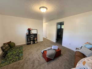 Living area with carpet flooring and a textured ceiling