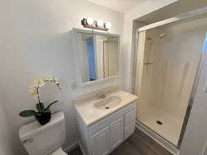 Bathroom with a shower stall, vanity, and dark wood-style floors