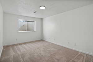 Spare room with light carpet and a textured ceiling