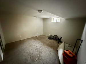 Below grade area with carpet flooring