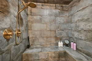 Master bathroom tiled shower
