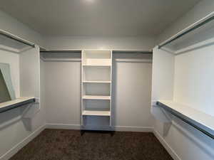 Spacious closet with dark carpet