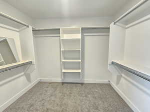 Spacious closet featuring light carpet