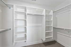 Spacious closet featuring carpet floors
