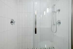 Modern Bathroom with a tile shower