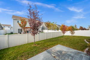 Fenced back yard with trees.