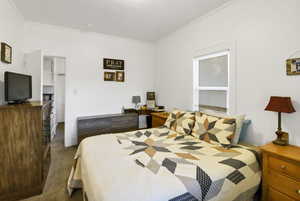 Bedroom with carpet and ornamental molding