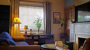 Living area with a fireplace