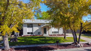 Raised ranch featuring brick siding and a front yard