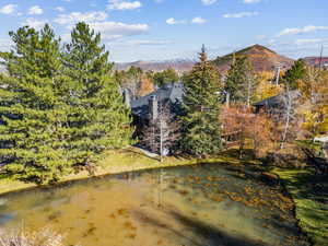 Aerial view of a water and mountain view and a tree filled landscape