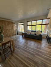 Living area featuring dark wood-style floors and a textured ceiling