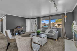 Living room with a fireplace with flush hearth, rail lighting, ornamental molding, and carpet floors
