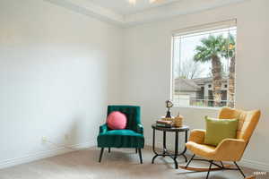 Living area with baseboards and carpet