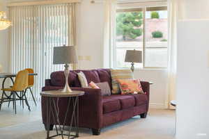 Living area with light colored carpet