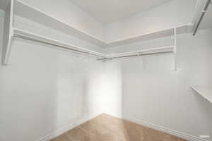 Walk in closet featuring carpet flooring
