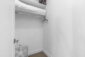 Spacious closet featuring carpet