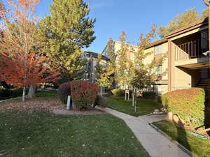 View of home's community featuring a yard