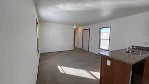 Kitchen with light carpet, dark countertops, a peninsula, and black dishwasher