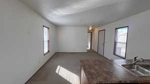 Unfurnished living room featuring carpet flooring and healthy amount of natural light