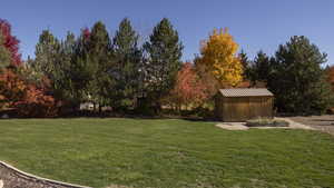 View of grassy yard featuring a shed and view of scattered trees