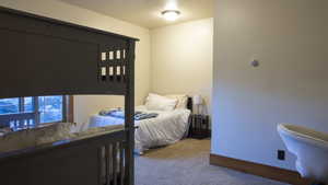 Bedroom with carpet floors and baseboards