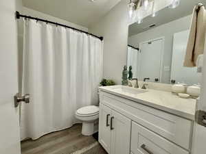 Bathroom with dark wood-type flooring, vanity, and a shower with curtain