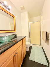 Full bathroom featuring dark tile patterned flooring, vanity, and a stall shower