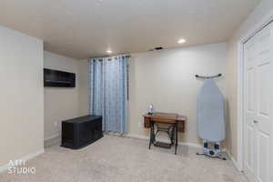 Misc room with carpet floors, a textured ceiling, and recessed lighting