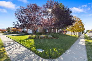 View of property hidden behind natural elements