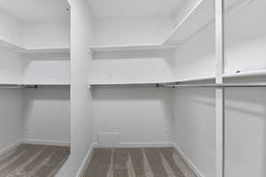 Spacious closet with light carpet
