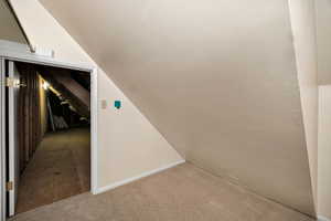 Storage with lofted ceiling, connected to attic