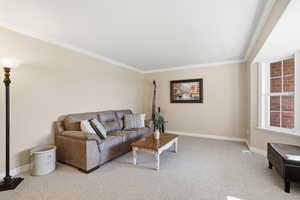 Carpeted living area featuring ornamental molding