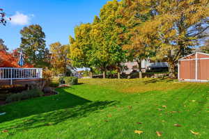 View of grassy yard featuring a shed