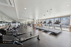 Workout area and expansive windows
