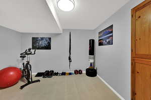 Exercise area featuring carpet floors